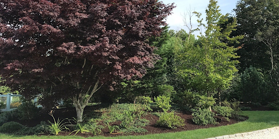 Arboretum Tour & Program: Second Wind