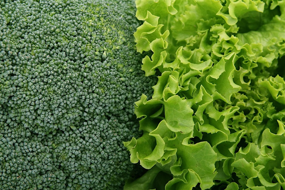 Fall Vegetable Gardening