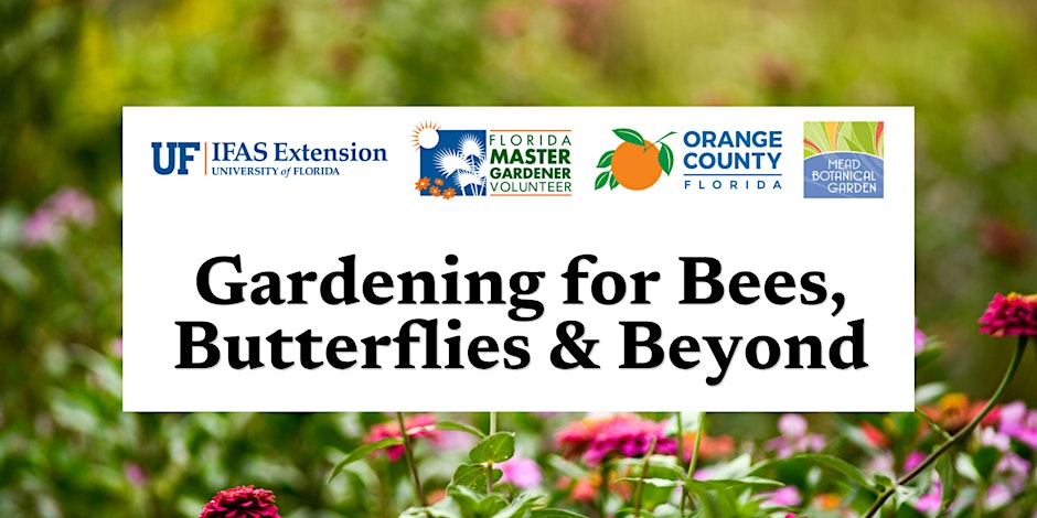 Gardening for Bees, Butterflies & Beyond