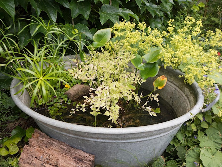 Wildlife Gardening Club “Mini Wildlife Ponds”