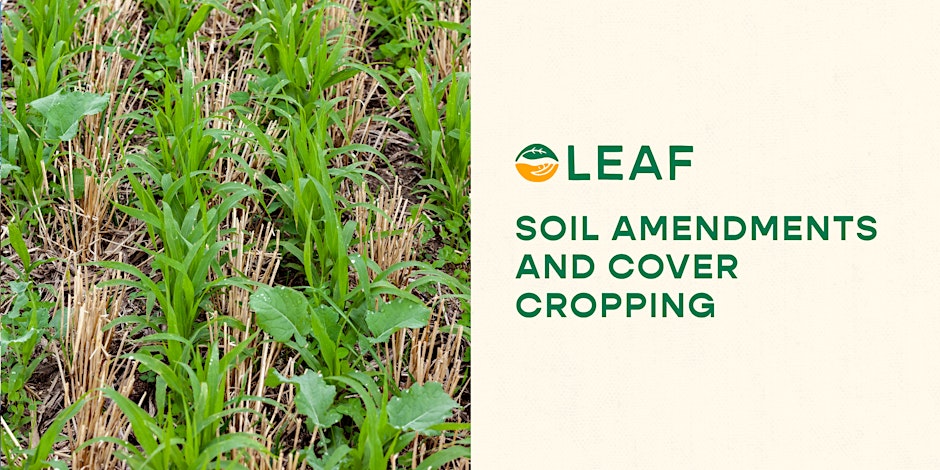 Gardening Basics: Soil Amendments and Cover Cropping