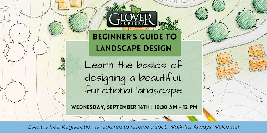 Beginner's Guide to Landscape Design