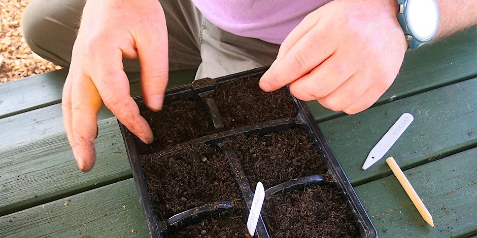 BASIC GARDENING - EASY FRUIT, VEGETABLES AND MORE