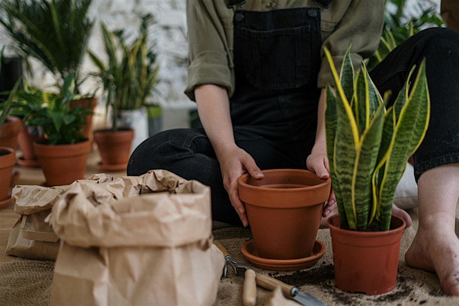 Indoor Houseplant Care & Plant Swap in Charlottesville