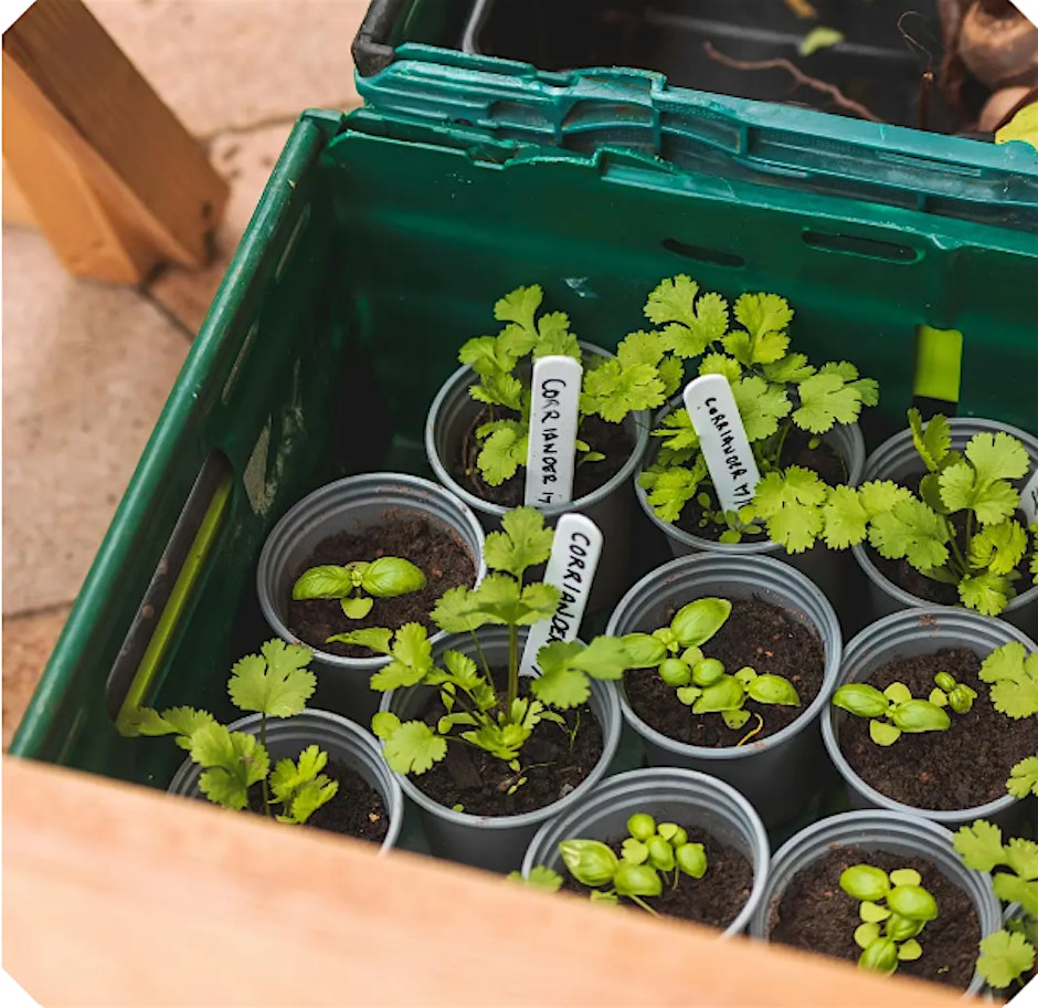 EVENING GARDENING CLUB
