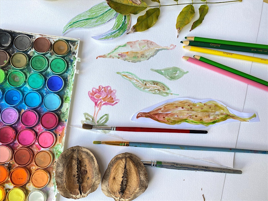 WORKSHOP: Botanical Illustration in the Garden
