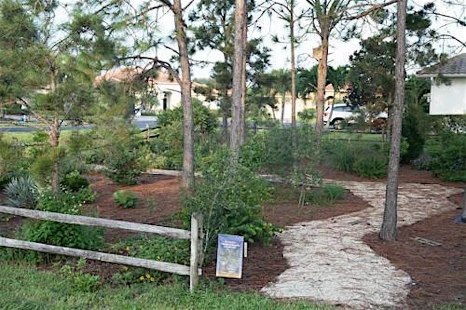Planting for Wildlife for Landscape Professionals