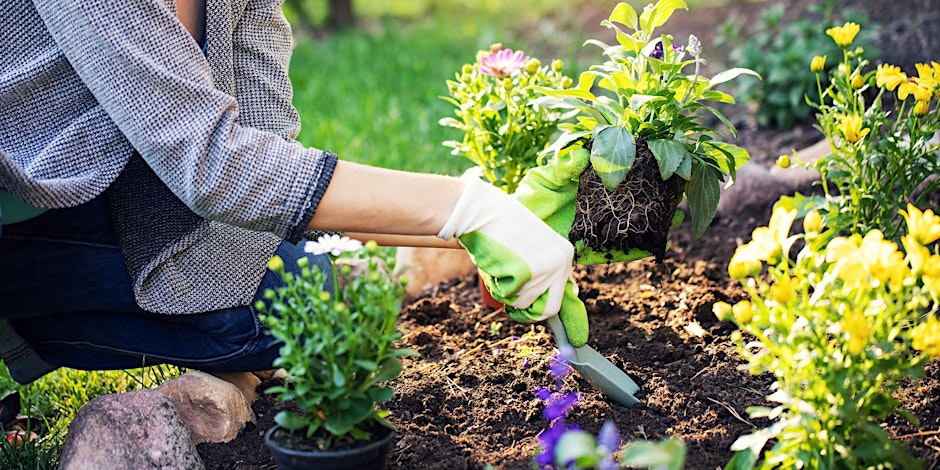 Green Patch Garden Chat with Kim