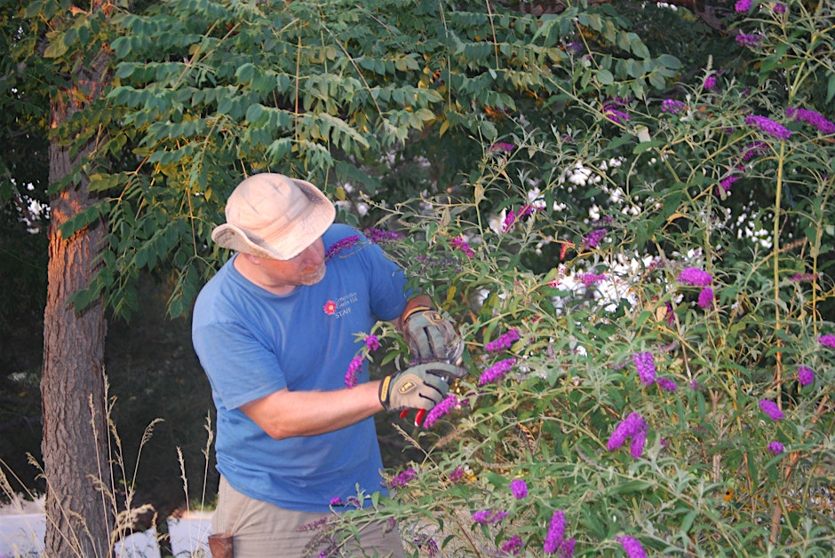 Immersive Learning- Summer Landscape Care