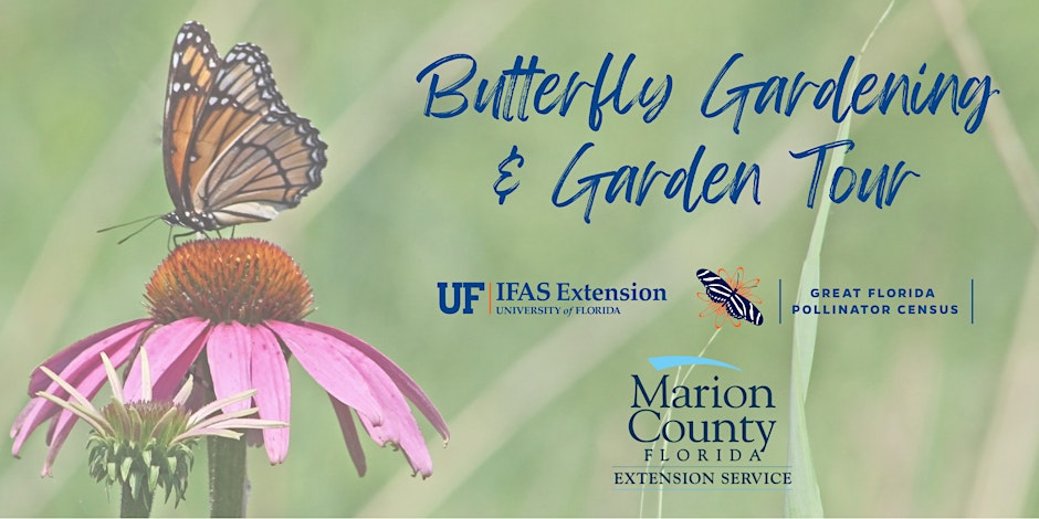 Butterfly Gardening with Demonstration Garden Tour!
