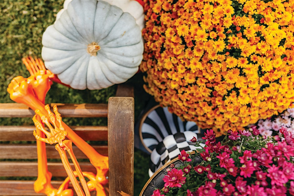 Halloween Planters Workshop