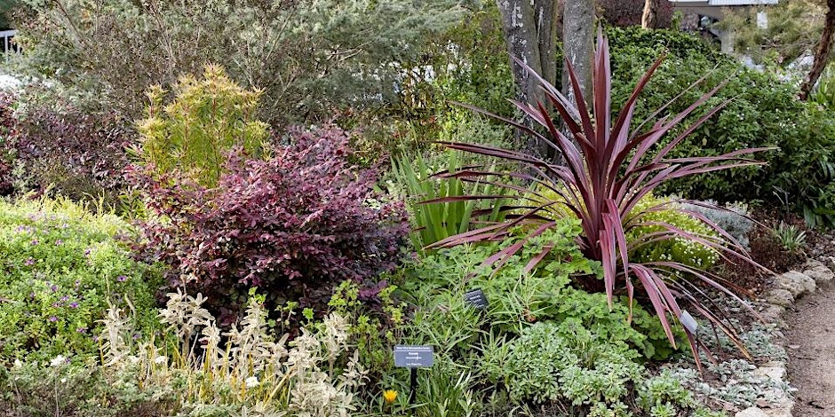 Introduction to Sustainable Gardening Series: Fall 2026