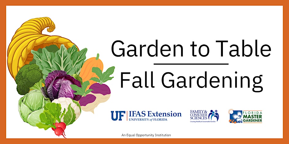 Garden to Table: Fall Gardening
