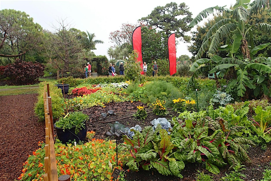 Garden week-Vegetable Garden Talk at Robbins South