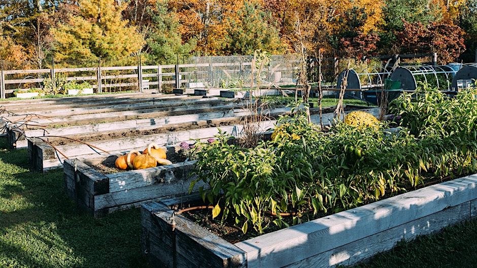Harvest – Gardening Workshop
