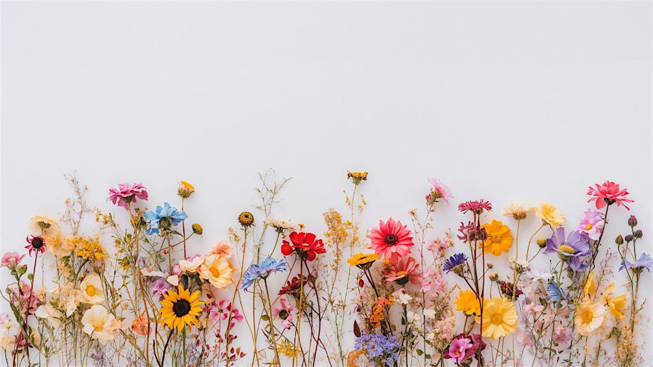 Tampa Garden Club: Horticulture Natives, Wilcox Nursery