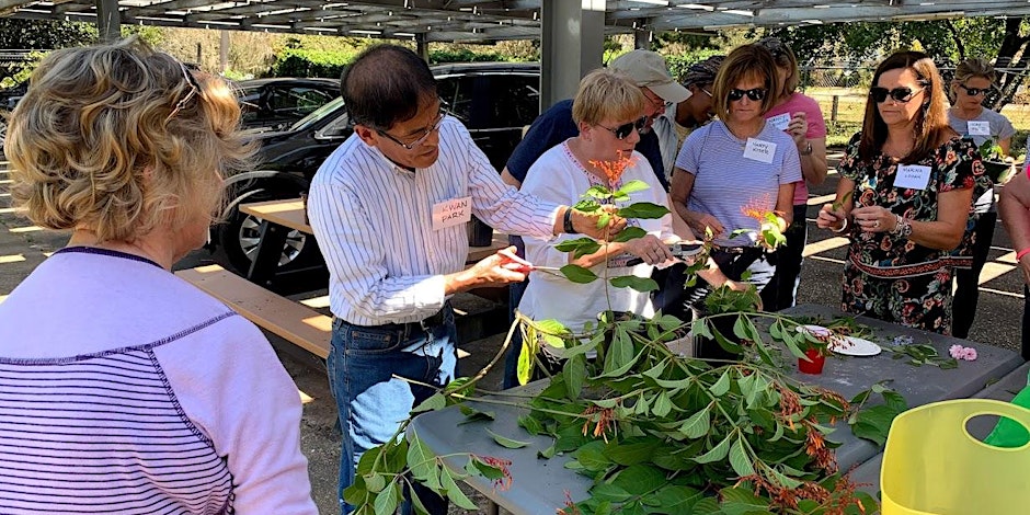 Plant Propagation 101 Workshop
