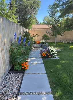 Modern Style Design Landscaping result