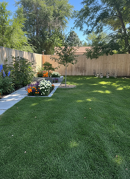 Modern Style Design Landscaping result