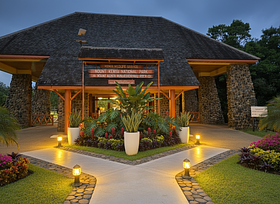 Add spaced out outdoor garden yellow lights along the paths and then convert the image to a night...