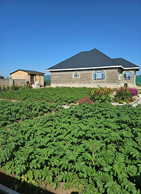 Rotate the image to view the compound from the left side over the potatoes in the garden. 