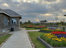 AI Landscaping design for Campo Belo