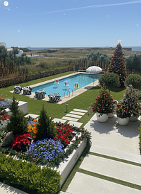 Create a Christmas landscaping design for this space and swimming pool 
