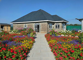 Remove all paths and walkways from the garden. Replace them with flowers or features that match t...