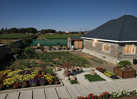 Move the bonsai tree on the right to the center and convert to a night view