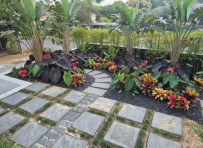 Tropical Garden Design - User Generated 4